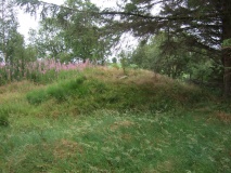 Lyevollen