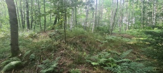 Ulleberg