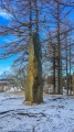 Vågøynes monument - PID:195685