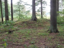 Bratthaugåsen