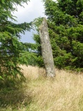 Kjørkjehauen