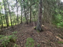 Huseby-Norumlinna