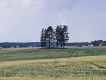 Ertevannveien-Dronninghaugen