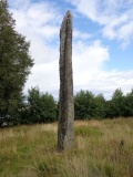 Sjo