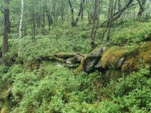 Børshauen