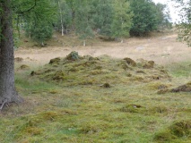 Nonsberget