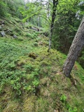 Frøsås Hillfort
