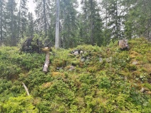 Oppdal-Store Hillfort