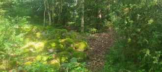 Brekkeåsen