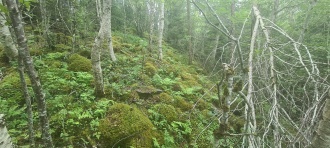 Åskammen Hillfort