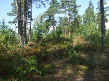 Smedhusåsen
