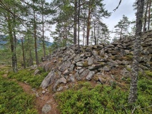 Trellsborg hillfort
