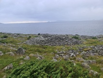 Nørdrerøysa