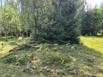 Osebergskogen