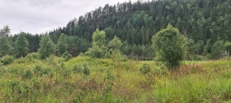 Tolvskillingsodden