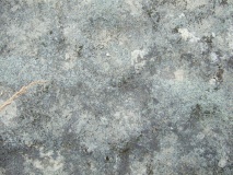 Fossum (Hedmark)