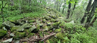 Auglandsuten