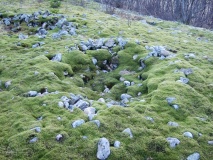 Rørvika Stone Age Settlement