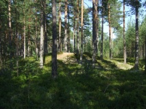 Fjonemøane