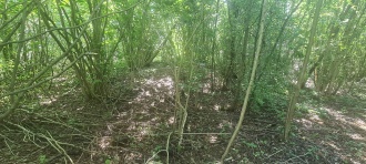 Strafferhaugene