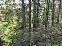 Huseby-Norumlinna