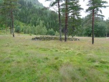 Sosteli
