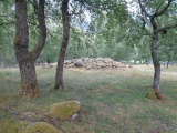 Hæreidsmoen