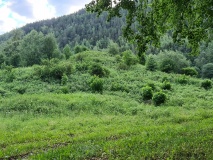 Nordjordet