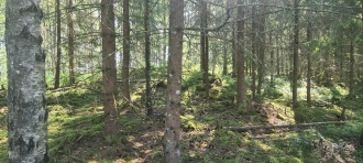 Moen med Grønlund