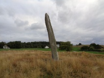 Hedlehaugen