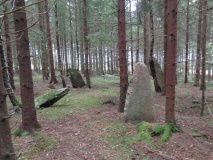 Rokkeveien-Vik Stone Circles