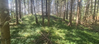 Reine-Komnesveien