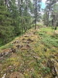 Østvikslottet