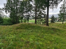 Bergshaugen