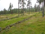 Sosteli