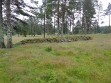 Sosteli
