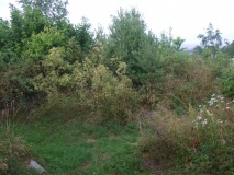 Frøyshov