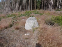 Store-Dal Gravfelt