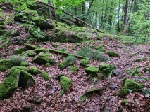 Adalsborgen Hillfort