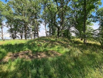 Roerlunden