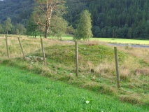 Boningshaugen
