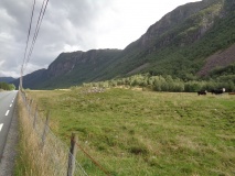 Frøyland-Dirdal