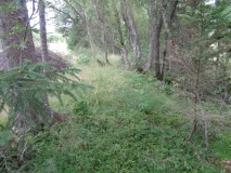 Okstad