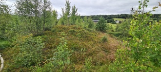 Skollhaugane
