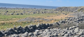 Grødaland