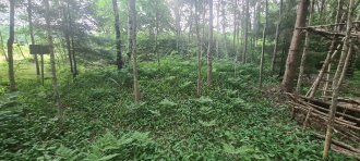 Ulleberg