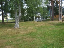 Øyskogen