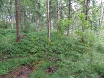 Skrubbhaugen
