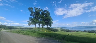 Rundhaugen-Hilstad