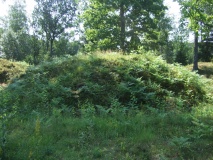 Bergene